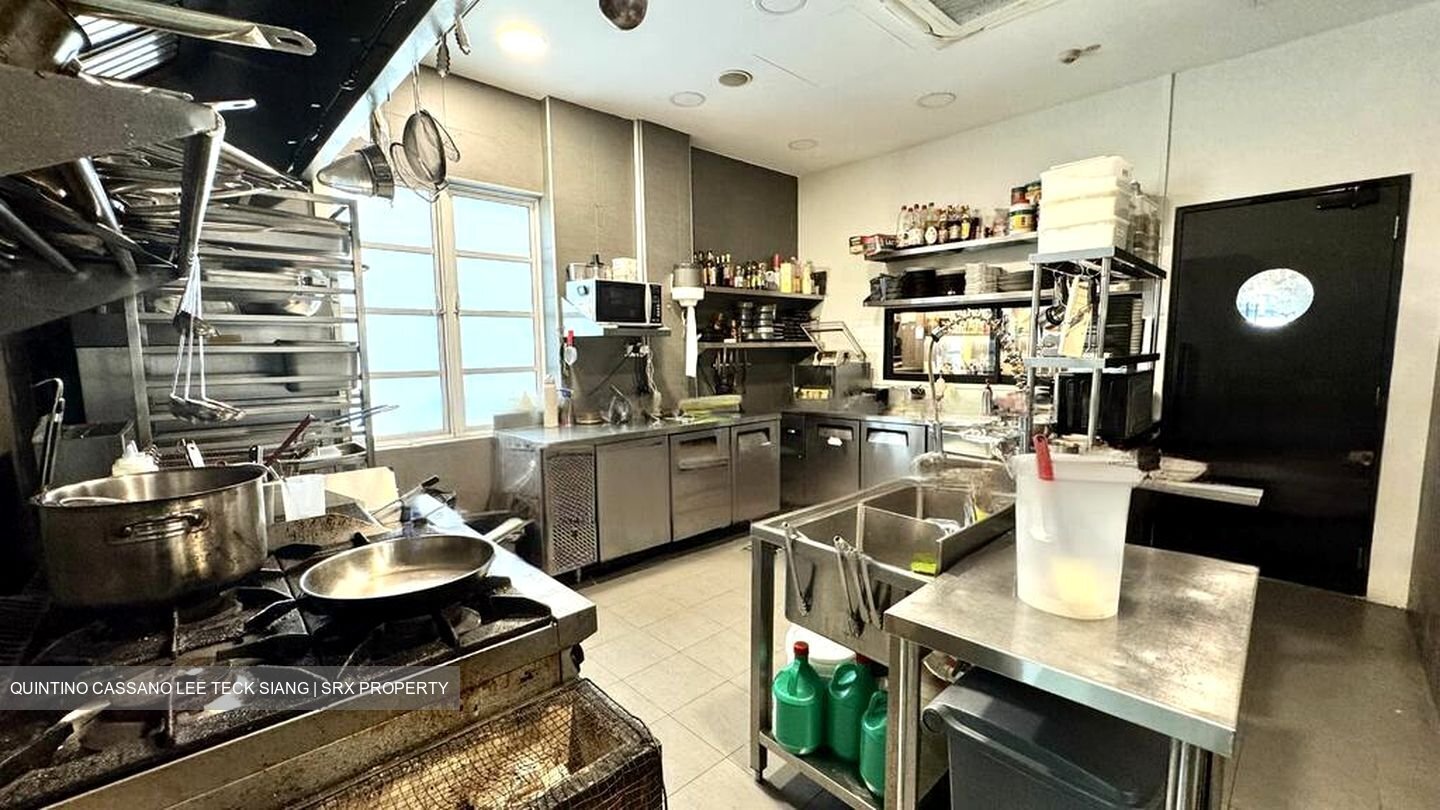 Outram Loft (D3), Shop House #456709981